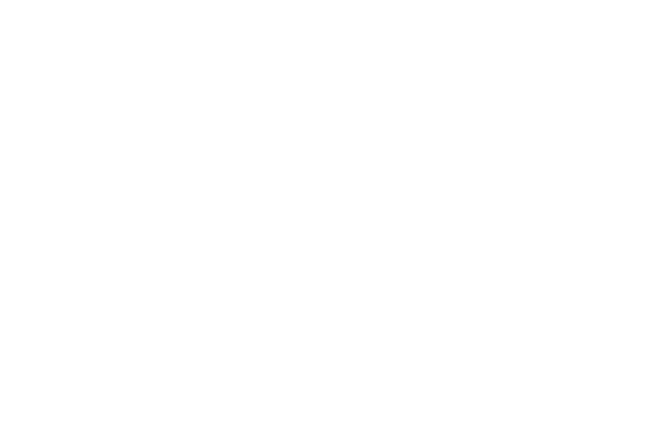 Big Group - Web Insights