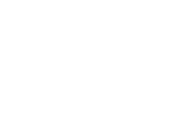 Rusken - Web Insights